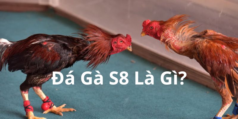 da-ga-s8-la-gi