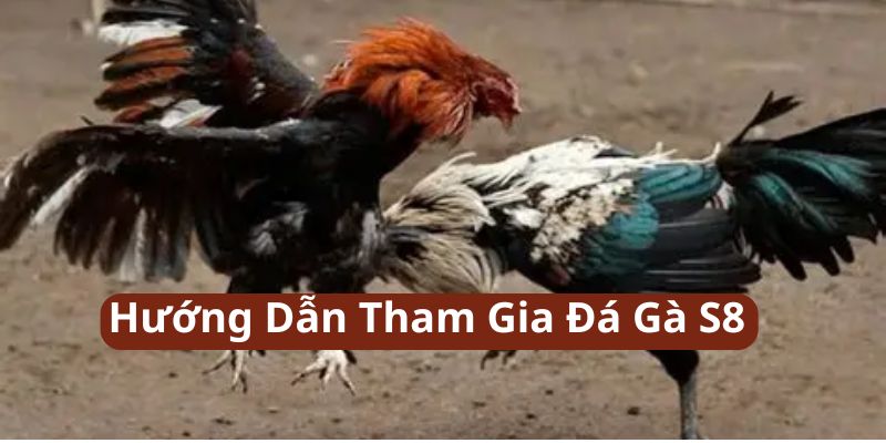 huong-dan-tham-gia-da-ga-s8