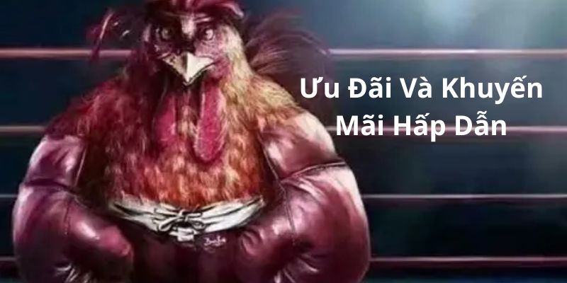 uu-dai-khuyen-mai-hap-dan-tham-gia-da-ga-s8